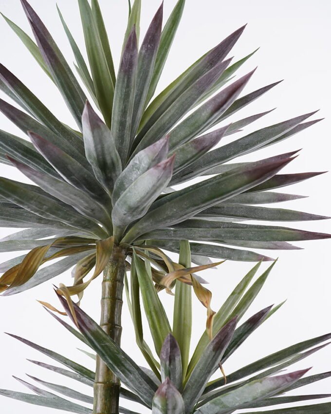 Artificial Tree 80*80*168cm Succulent in pp pot GS-48521041 Tree&Plant YeahFlower is one of Chinese leading OEM manufacturers and exporters , supplying the silk flowers, wholesale artificial trees