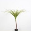 Artificial Tree 110*110*90cm dragon tree in pp pot GS-58421027 Tree&Plant YeahFlower is one of Chinese leading OEM manufacturers and exporters , supplying the silk flowers, wholesale artificial trees