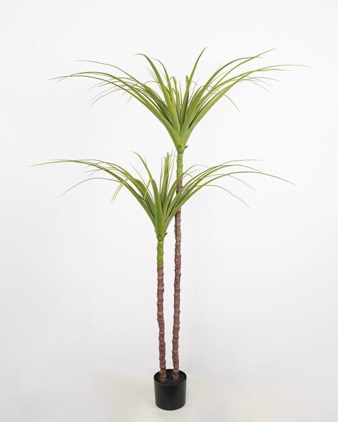 Artificial Tree 116*108*140cm dragon tree in pp pot GS-58421029 Tree&Plant YeahFlower is one of Chinese leading OEM manufacturers and exporters , supplying the silk flowers, wholesale artificial trees