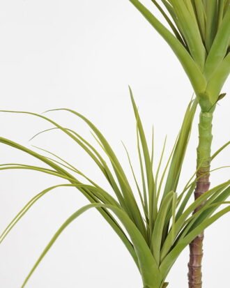 Artificial Tree 116*108*140cm dragon tree in pp pot GS-58421029 Tree&Plant YeahFlower is one of Chinese leading OEM manufacturers and exporters , supplying the silk flowers, wholesale artificial trees