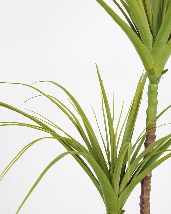 Artificial Tree 116*108*140cm dragon tree in pp pot GS-58421029 Tree&Plant YeahFlower is one of Chinese leading OEM manufacturers and exporters , supplying the silk flowers, wholesale artificial trees