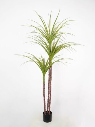 Artificial Tree 116*108*140cm dragon tree in pp pot GS-58421029 Tree&Plant 3,000+ sqm showroom with thousands of artificial flowers, plants & trees ready for global sourcing.