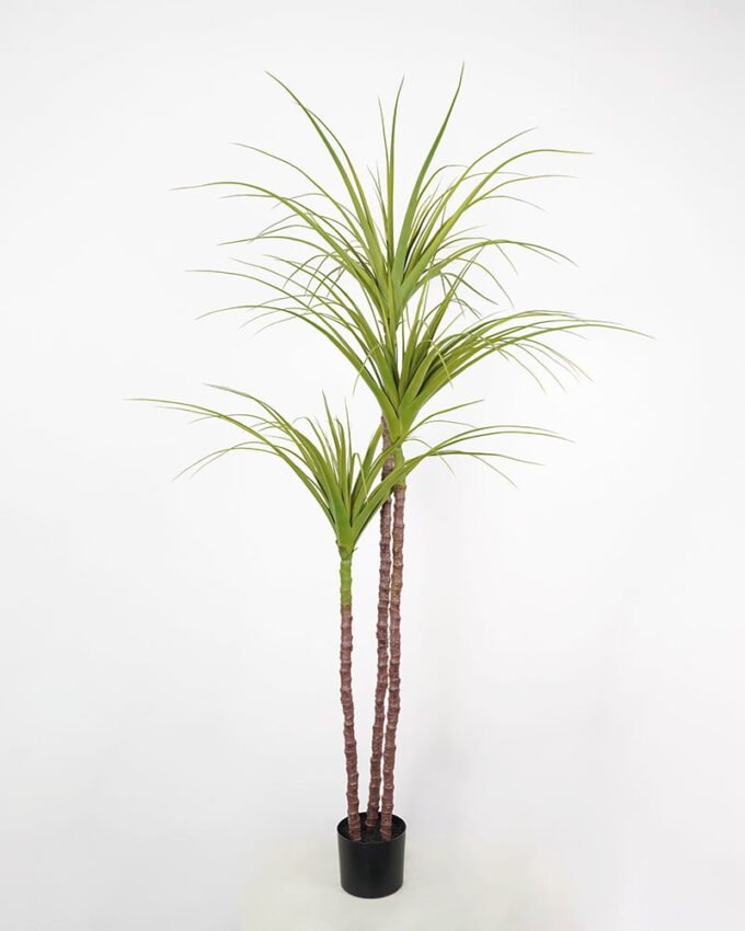 Artificial Tree dragon tree in pp pot GS-58421030 Artificial Tree 130*125*175cm dragon tree in pp pot GS-58421030 Tree&Plant YeahFlower is one of Chinese leading OEM manufacturers and exporters , supplying the silk flowers, wholesale artificial trees