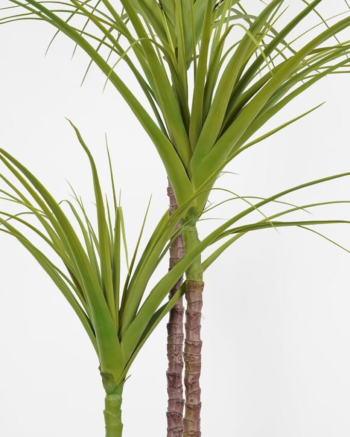 Artificial Tree dragon tree in pp pot GS-58421030_4 Artificial Tree 130*125*175cm dragon tree in pp pot GS-58421030 Tree&Plant YeahFlower is one of Chinese leading OEM manufacturers and exporters , supplying the silk flowers, wholesale artificial trees