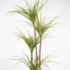 Artificial Tree 140*140*210cm dragon tree in pp pot GS-58421031 Tree&Plant YeahFlower is one of Chinese leading OEM manufacturers and exporters , supplying the silk flowers, wholesale artificial trees