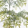 Artificial Tree 78*78*120cm heavenly bamboo tree in pp pot GS-48521028 Tree&Plant YeahFlower is one of Chinese leading OEM manufacturers and exporters , supplying the silk flowers, wholesale artificial trees