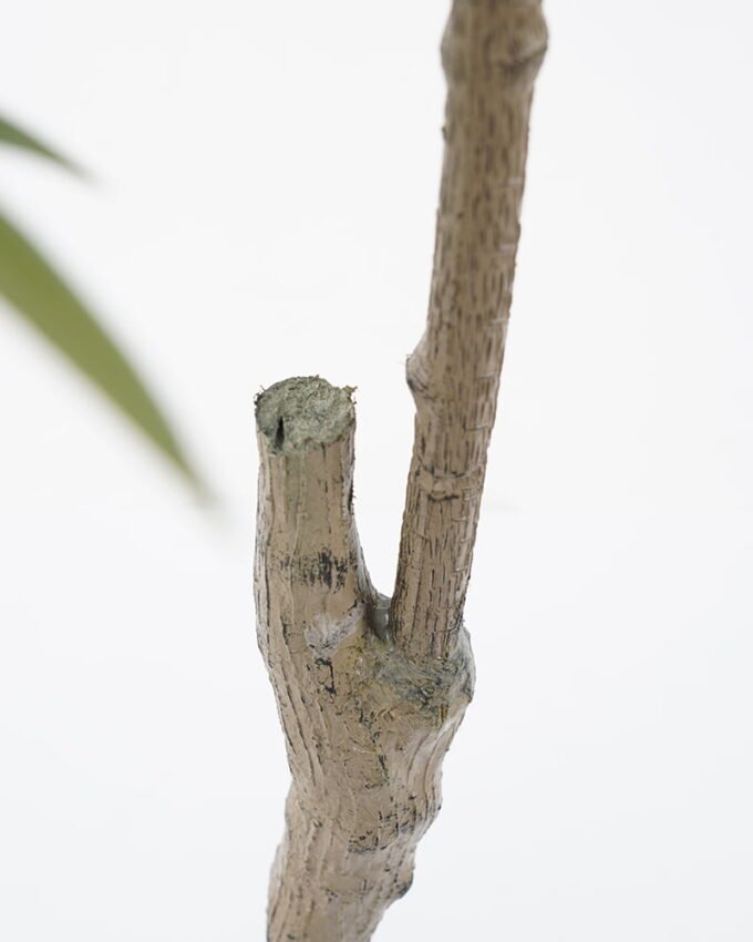 Artificial Tree 78*78*120cm heavenly bamboo tree in pp pot GS-48521028 Tree&Plant YeahFlower is one of Chinese leading OEM manufacturers and exporters , supplying the silk flowers, wholesale artificial trees