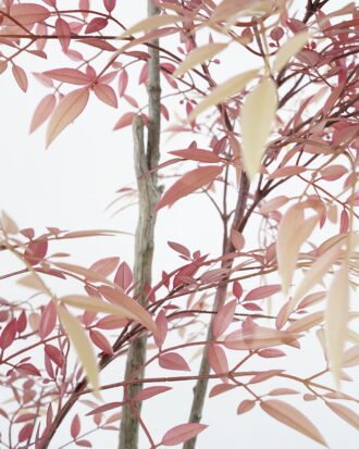 Artificial Tree 83*73*150cm heavenly bamboo tree in pp pot GS-48521032 Tree&Plant YeahFlower is one of Chinese leading OEM manufacturers and exporters , supplying the silk flowers, wholesale artificial trees