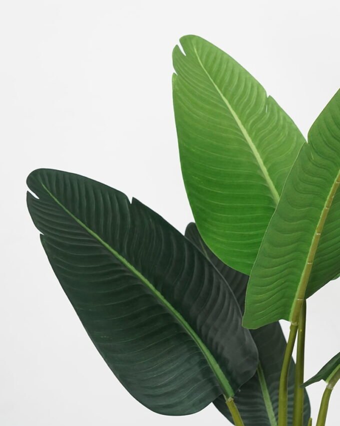 Artificial Tree 55*45*90cm traveller’s-tree in pp pot GS-58421001 Tree&Plant YeahFlower is one of Chinese leading OEM manufacturers and exporters , supplying the silk flowers, wholesale artificial trees