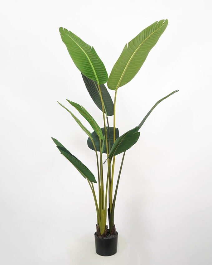 Artificial Tree 86*75*150cm traveller’s-tree in pp pot GS-58421003 Tree&Plant YeahFlower is one of Chinese leading OEM manufacturers and exporters , supplying the silk flowers, wholesale artificial trees