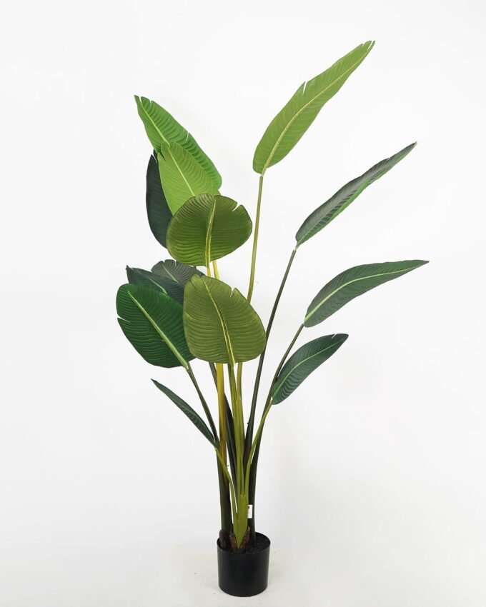 Artificial Tree 112*60*180cm traveller’s-tree in pp pot GS-58421004 Tree&Plant YeahFlower is one of Chinese leading OEM manufacturers and exporters , supplying the silk flowers, wholesale artificial trees