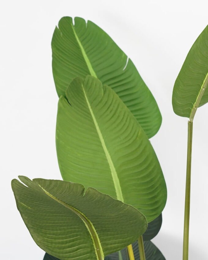 Artificial Tree 112*60*180cm traveller’s-tree in pp pot GS-58421004 Tree&Plant YeahFlower is one of Chinese leading OEM manufacturers and exporters , supplying the silk flowers, wholesale artificial trees