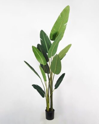 Artificial Tree 90*80*210cm traveller’s-tree in pp pot GS-58421005 Tree&Plant YeahFlower is one of Chinese leading OEM manufacturers and exporters , supplying the silk flowers, wholesale artificial trees