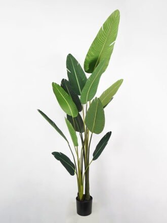 Artificial Tree 132*76*235cm traveller’s-tree in pp pot GS-58421006 Tree&Plant 3,000+ sqm showroom with thousands of artificial flowers, plants & trees ready for global sourcing.