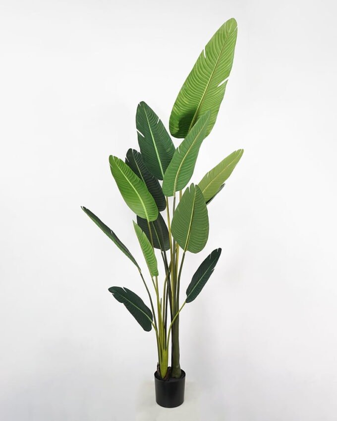 Artificial Tree 90*80*210cm traveller’s-tree in pp pot GS-58421005 Tree&Plant YeahFlower is one of Chinese leading OEM manufacturers and exporters , supplying the silk flowers, wholesale artificial trees