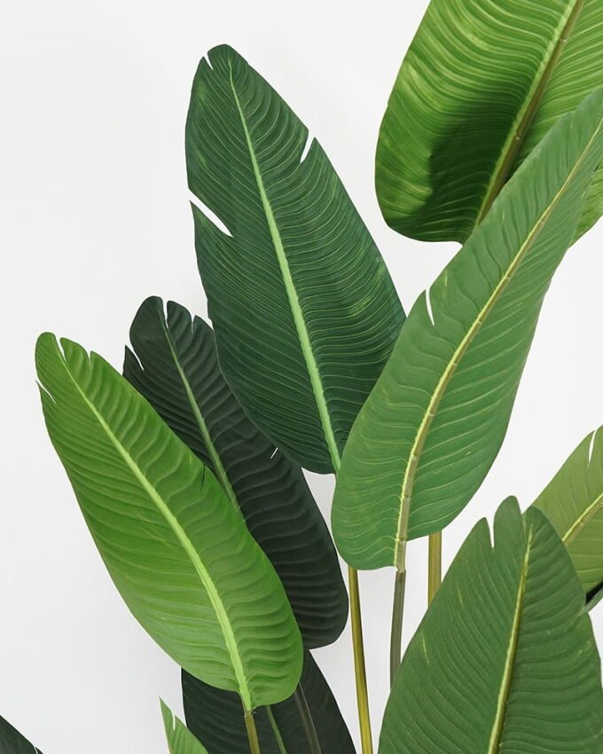 Artificial Tree 90*80*210cm traveller’s-tree in pp pot GS-58421005 Tree&Plant YeahFlower is one of Chinese leading OEM manufacturers and exporters , supplying the silk flowers, wholesale artificial trees