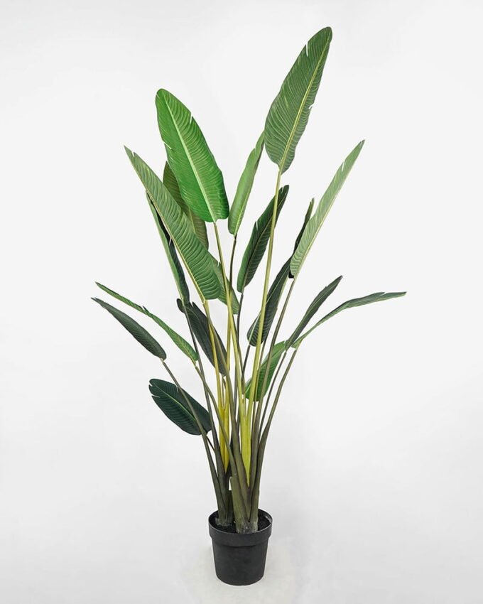 Artificial Tree 132*76*235cm traveller’s-tree in pp pot GS-58421006 Tree&Plant YeahFlower is one of Chinese leading OEM manufacturers and exporters , supplying the silk flowers, wholesale artificial trees