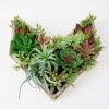 Artificial succulent 24*9*23CM desert plant in Wood planter GS-51721068 Succulent 3,000+ sqm showroom with thousands of artificial flowers, plants & trees ready for global sourcing.