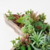 Artificial succulent 24*9*23CM desert plant in Wood planter GS-51721068 Succulent 3,000+ sqm showroom with thousands of artificial flowers, plants & trees ready for global sourcing.