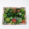 Artificial succulent desert plant in Wood planter GS-51721070 Artificial succulent 40*15*30CM desert plant in Wood planter GS-51721070 Succulent YeahFlower is one of Chinese leading OEM manufacturers and exporters , supplying the silk flowers, wholesale artificial trees