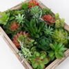 Artificial succulent desert plant in Wood planter GS-51721070_3 Artificial succulent 40*15*30CM desert plant in Wood planter GS-51721070 Succulent YeahFlower is one of Chinese leading OEM manufacturers and exporters , supplying the silk flowers, wholesale artificial trees