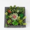 Artificial succulent 25*11*25CM desert plant in Wood planter GS-51721072 Succulent YeahFlower is one of Chinese leading OEM manufacturers and exporters , supplying the silk flowers, wholesale artificial trees