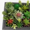 Artificial succulent 25*11*25CM desert plant in Wood planter GS-51721072 Succulent YeahFlower is one of Chinese leading OEM manufacturers and exporters , supplying the silk flowers, wholesale artificial trees