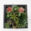 Artificial succulent 30*15*30CM desert plant in Wood planter GS-51721073 Succulent YeahFlower is one of Chinese leading OEM manufacturers and exporters , supplying the silk flowers, wholesale artificial trees