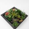 Artificial succulent 30*15*30CM desert plant in Wood planter GS-51721073 Succulent YeahFlower is one of Chinese leading OEM manufacturers and exporters , supplying the silk flowers, wholesale artificial trees