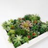 Artificial succulent 71*17*56CM desert plant in Wood planter GS-51721074 Succulent YeahFlower is one of Chinese leading OEM manufacturers and exporters , supplying the silk flowers, wholesale artificial trees