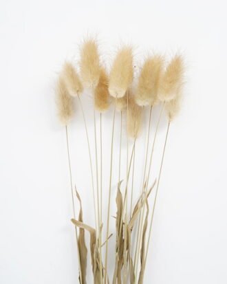 Dried Flowers 15*5*58CM Dried natural items bouquet with PP wrapped(17g/bouquet, H:35-58CM) GS-56621107-Y1 Bouquet YeahFlower is one of Chinese leading OEM manufacturers and exporters , supplying the silk flowers, wholesale artificial trees