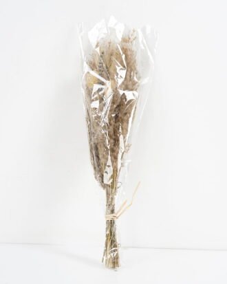 Dried Flowers 17*11*48CM Dried natural items bouquet with PP wrapped(45g/bouquet, H:58CM) GS-56621108-Z1 Bouquet YeahFlower is one of Chinese leading OEM manufacturers and exporters , supplying the silk flowers, wholesale artificial trees