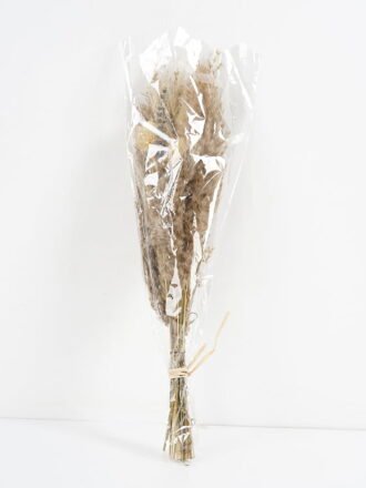 Dried Flowers 13*8*58CM Dried natural items bouquet with PP wrapped(93g/bouquet, H:58CM) GS-56621109-Z1 Bouquet 3,000+ sqm showroom with thousands of artificial flowers, plants & trees ready for global sourcing.