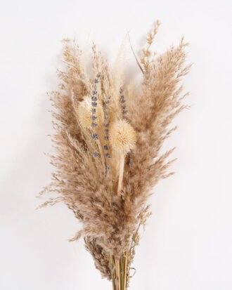 Dried Flowers 17*11*48CM Dried natural items bouquet with PP wrapped(45g/bouquet, H:58CM) GS-56621108-Z1 Bouquet YeahFlower is one of Chinese leading OEM manufacturers and exporters , supplying the silk flowers, wholesale artificial trees