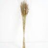 Dried Flowers 10*10*78CM Dried natural items  with PP wrapped(80g, H:50CM) GS-56621106 Bouquet YeahFlower is one of Chinese leading OEM manufacturers and exporters , supplying the silk flowers, wholesale artificial trees