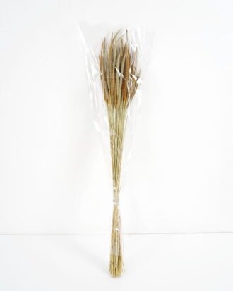 Dried Flowers 10*10*78CM Dried natural items  with PP wrapped(80g, H:50CM) GS-56621106 Bouquet YeahFlower is one of Chinese leading OEM manufacturers and exporters , supplying the silk flowers, wholesale artificial trees