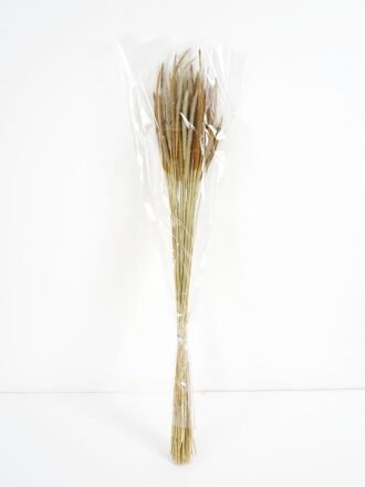 Dried Flowers 21*8*60CM Dried natural items bouquet with PP wrapped(36g/bouquet, H:60CM) GS-56621110-R1 Bouquet 3,000+ sqm showroom with thousands of artificial flowers, plants & trees ready for global sourcing.