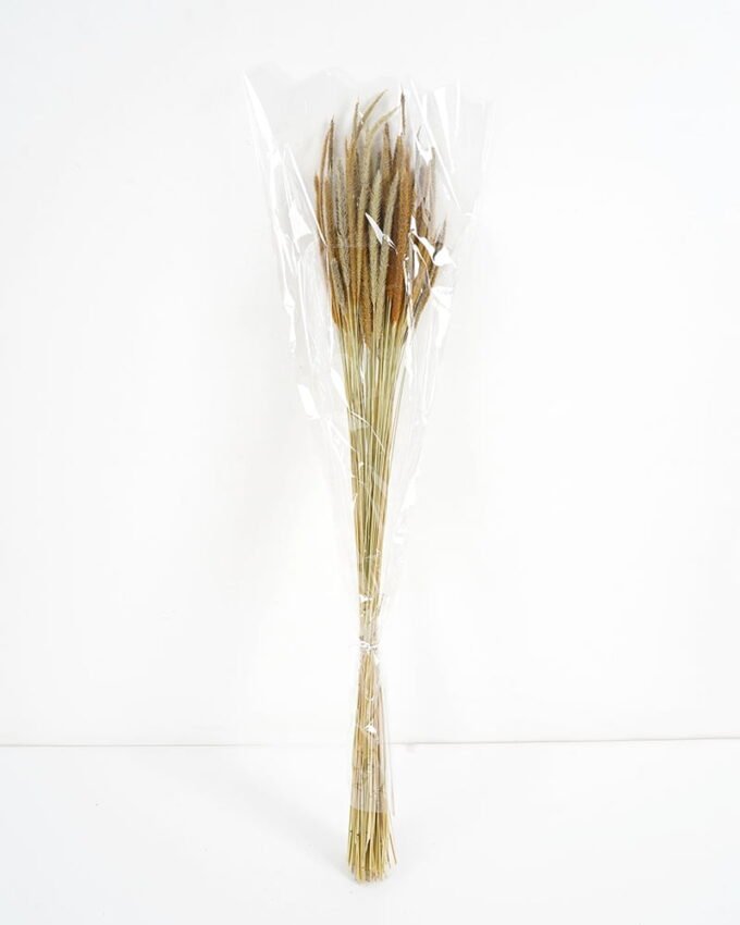 Dried Flowers 10*10*78CM Dried natural items  with PP wrapped(80g, H:50CM) GS-56621106 Bouquet YeahFlower is one of Chinese leading OEM manufacturers and exporters , supplying the silk flowers, wholesale artificial trees