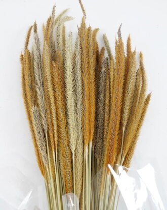 Dried Flowers 10*10*78CM Dried natural items  with PP wrapped(80g, H:50CM) GS-56621106 Bouquet YeahFlower is one of Chinese leading OEM manufacturers and exporters , supplying the silk flowers, wholesale artificial trees