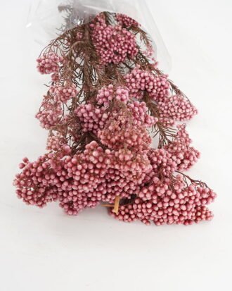 Dried Flowers 13*64CM Flower,50g/pc,H:60-70cm/pc GS-56620018-Z2 Bouquet YeahFlower is one of Chinese leading OEM manufacturers and exporters , supplying the silk flowers, wholesale artificial trees