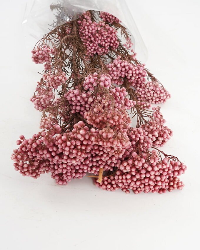 Dried Flowers 13*64CM Flower,50g/pc,H:60-70cm/pc GS-56620018-Z2 Bouquet YeahFlower is one of Chinese leading OEM manufacturers and exporters , supplying the silk flowers, wholesale artificial trees