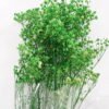 Dried Flowers 17*62cm Preserved Gypsophila Bouquet GS-56620032-G1 Bouquet YeahFlower is one of Chinese leading OEM manufacturers and exporters , supplying the silk flowers, wholesale artificial trees