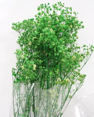 Dried Flowers 17*62cm Preserved Gypsophila Bouquet GS-56620032-G1 Bouquet YeahFlower is one of Chinese leading OEM manufacturers and exporters , supplying the silk flowers, wholesale artificial trees