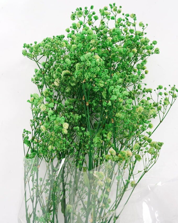 Dried Flowers 17*62cm Preserved Gypsophila Bouquet GS-56620032-G1 Bouquet YeahFlower is one of Chinese leading OEM manufacturers and exporters , supplying the silk flowers, wholesale artificial trees