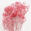 Dried Flowers 17*62cm Preserved Gypsophila Bouquet GS-56620032-P1 Bouquet YeahFlower is one of Chinese leading OEM manufacturers and exporters , supplying the silk flowers, wholesale artificial trees