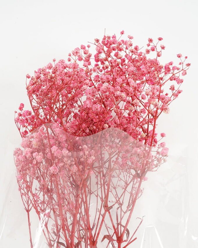 Dried Flowers 17*62cm Preserved Gypsophila Bouquet GS-56620032-P1 Bouquet YeahFlower is one of Chinese leading OEM manufacturers and exporters , supplying the silk flowers, wholesale artificial trees