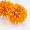 Dried Flowers 13*7*62CMYulan ball GS-56621100 Bouquet YeahFlower is one of Chinese leading OEM manufacturers and exporters , supplying the silk flowers, wholesale artificial trees