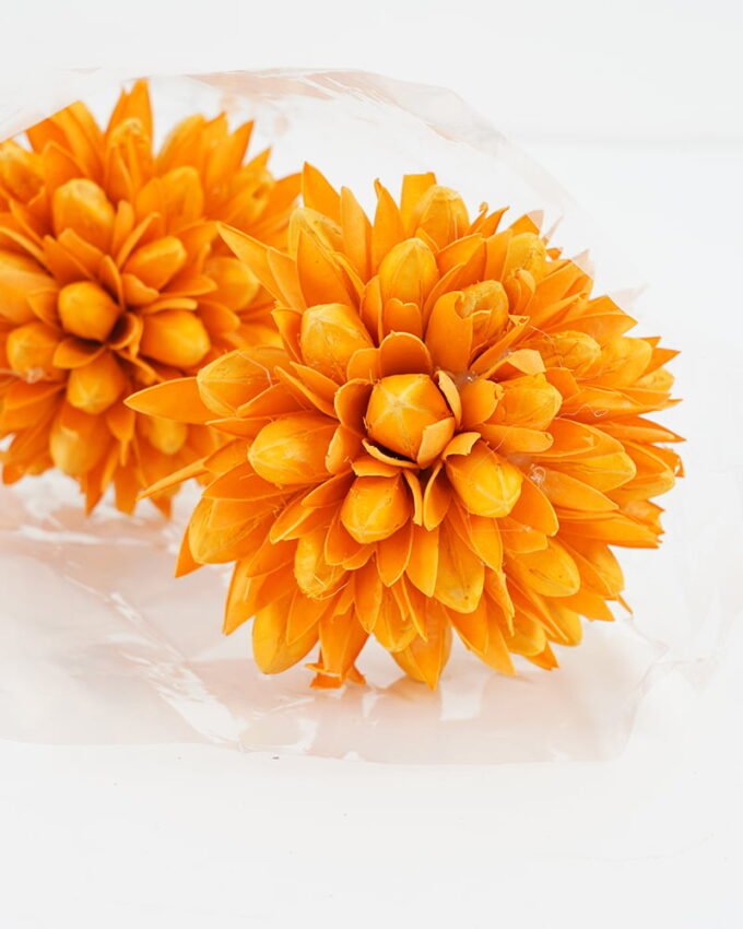 Dried Flowers 13*7*62CMYulan ball GS-56621100 Bouquet YeahFlower is one of Chinese leading OEM manufacturers and exporters , supplying the silk flowers, wholesale artificial trees
