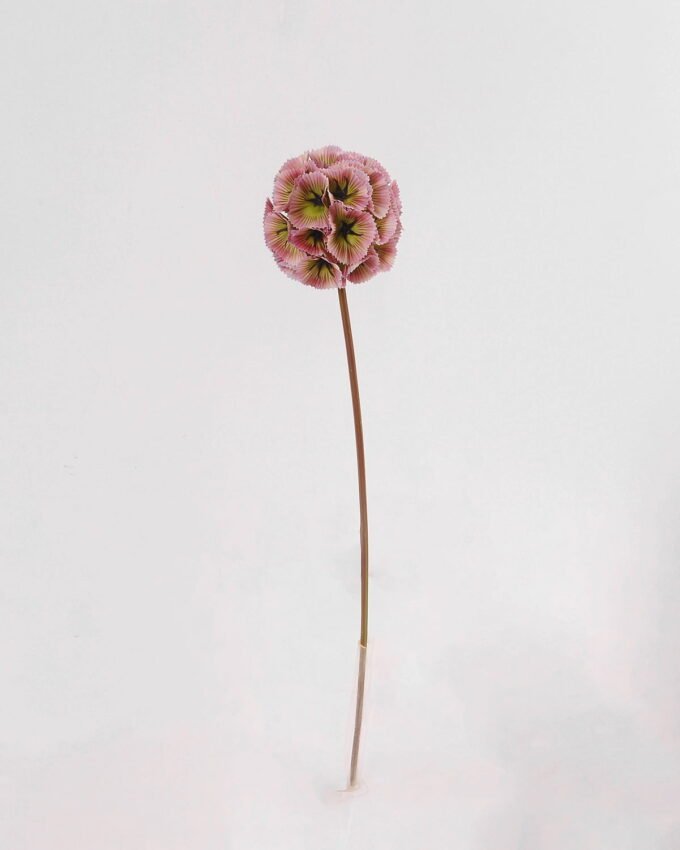 Artificial Flower Windmill fruit Single stem GS-39121031_3 Artificial Flower 11*55cm Windmill fruit Single stem GS-39121031 Single Flowers YeahFlower is one of Chinese leading OEM manufacturers and exporters , supplying the silk flowers, wholesale artificial trees