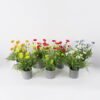 Artificial Flower 35*35*45cm corn poppy in melamine pot GS-26221078 Potted Flowers&Plants YeahFlower is one of Chinese leading OEM manufacturers and exporters , supplying the silk flowers, wholesale artificial trees